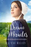 Un rêve de miracles - A Dream of Miracles