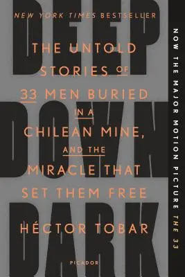 Au fond des ténèbres : l'histoire inédite de 33 hommes ensevelis dans une mine chilienne et le miracle qui les a libérés - Deep Down Dark: The Untold Stories of 33 Men Buried in a Chilean Mine, and the Miracle That Set Them Free
