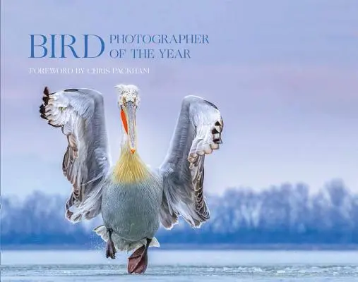 Photographe d'oiseaux de l'année : Collection 4 (Photographe d'oiseaux de l'année) - Bird Photographer of the Year: Collection 4 (Bird Photographer of the Year)