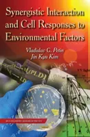 Interaction synergique et réponses cellulaires aux facteurs environnementaux - Synergistic Interaction & Cell Responses to Environmental Factors