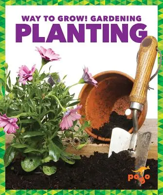 Plantation - Planting