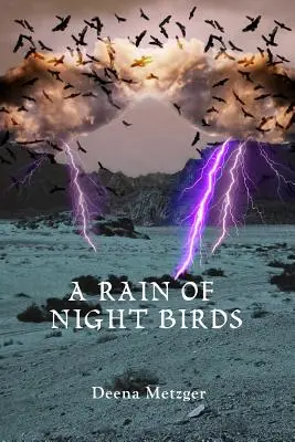 Une pluie d'oiseaux de nuit - A Rain of Night Birds