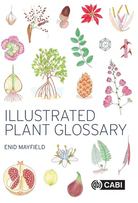 Glossaire illustré des plantes - Illustrated Plant Glossary