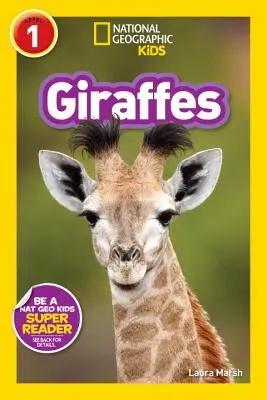 Girafes - Giraffes