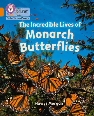 L'incroyable vie des papillons monarques - Band 06/Orange - Incredible Lives of Monarch Butterflies - Band 06/Orange