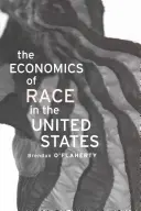 L'économie de la race aux États-Unis - Economics of Race in the United States