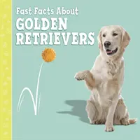 Faits marquants sur les Golden Retrievers - Fast Facts About Golden Retrievers