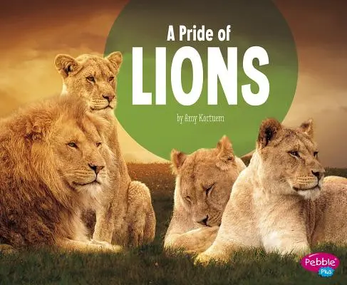 La fierté des lions - A Pride of Lions