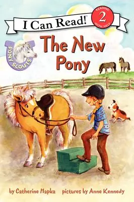 Le nouveau poney - The New Pony