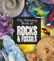 Livre étonnant sur les roches et les fossiles - Amazing Book of Rocks and Fossils