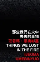 Ce que nous avons perdu dans l'incendie - Things We Lost in the Fire