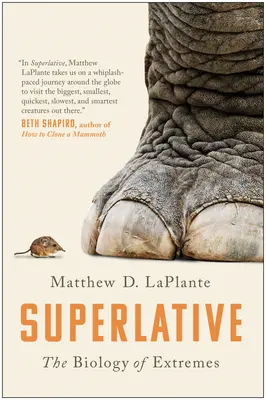 Superlatif : La biologie des extrêmes - Superlative: The Biology of Extremes