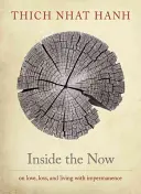 A l'intérieur de l'instant présent : Méditations sur le temps - Inside the Now: Meditations on Time