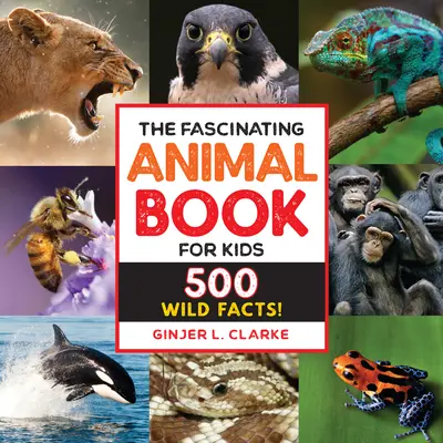 Le livre fascinant des animaux pour les enfants : 500 faits sauvages ! - The Fascinating Animal Book for Kids: 500 Wild Facts!