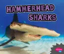 Requins marteaux - Hammerhead Sharks