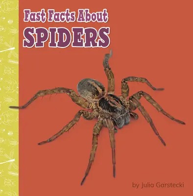 Faits rapides sur les araignées - Fast Facts about Spiders