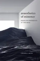 L'anesthésie de l'existence : Essais sur l'expérience à la limite - Anaesthetics of Existence: Essays on Experience at the Edge