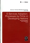 Adoption des services électroniques : Processus des entreprises dans les pays en développement - E-Services Adoption: Processes by Firms in Developing Nations