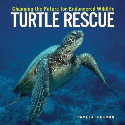 Sauvetage des tortues : Changer l'avenir des espèces sauvages menacées - Turtle Rescue: Changing the Future for Endangered Wildlife