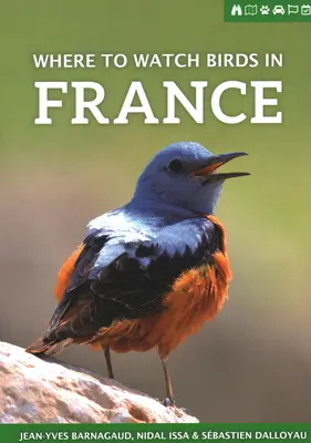 Où observer les oiseaux en France - Where to Watch Birds in France