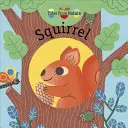 Écureuil - Squirrel