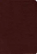 Bible Amplifiée-Am-Large Print : La Bible amplifiée en gros caractères, qui restitue tout le sens des textes originaux en grec et en hébreu. - Amplified Bible-Am-Large Print: Captures the Full Meaning Behind the Original Greek and Hebrew