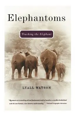 Elephantoms : À la poursuite de l'éléphant - Elephantoms: Tracking the Elephant