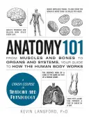 Anatomie 101 : Des muscles et des os aux organes et aux systèmes, votre guide du fonctionnement du corps humain - Anatomy 101: From Muscles and Bones to Organs and Systems, Your Guide to How the Human Body Works