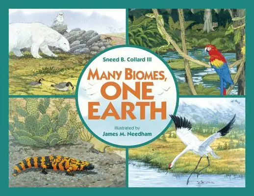 De nombreux biomes, une seule terre - Many Biomes, One Earth Trade Book