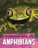 La vie sauvage en danger : Sauvetage des amphibiens - Endangered Wildlife: Rescuing Amphibians