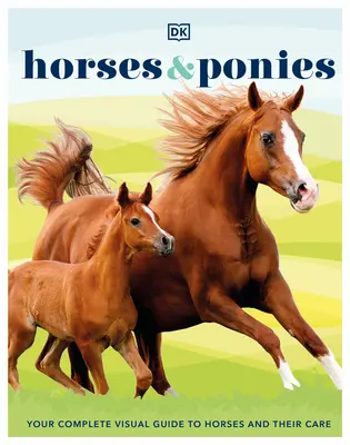 Chevaux et poneys - Horses & Ponies
