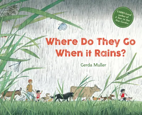 Où vont-ils quand il pleut ? - Where Do They Go When It Rains?