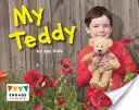 Mon Nounours - My Teddy