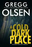 Un endroit sombre et froid - A Cold Dark Place