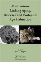 Mécanismes liant le vieillissement, les maladies et l'estimation de l'âge biologique - Mechanisms Linking Aging, Diseases and Biological Age Estimation