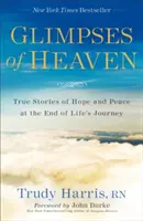 L'espoir au paradis : Histoires vraies d'espoir et de paix à la fin du voyage de la vie - Glimpses of Heaven: True Stories of Hope and Peace at the End of Life's Journey