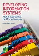 Développement des systèmes d'information : Conseils pratiques pour les professionnels de l'informatique - Developing Information Systems: Practical Guidance for It Professionals