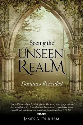 Voir le royaume invisible - Seeing the Unseen Realm