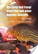 Bactéries et champignons des poissons et autres animaux aquatiques : Manuel pratique d'identification - Bacteria and Fungi from Fish and Other Aquatic Animals: A Practical Identification Manual