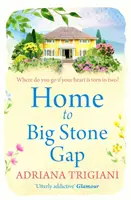 La maison de Big Stone Gap - Home to Big Stone Gap