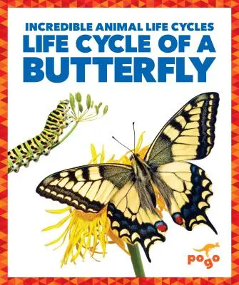 Cycle de vie d'un papillon - Life Cycle of a Butterfly