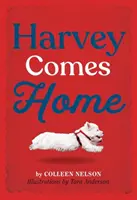 Harvey rentre à la maison - Harvey Comes Home