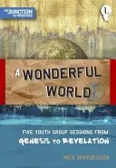 Un monde merveilleux : Livre 1 : Cinq sessions de groupes de jeunes de la Genèse à l'Apocalypse - A A Wonderful World: Book 1: Five Youth Group Sessions from Genesis to Revelation