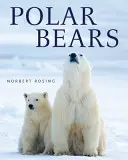 Ours polaire - Polar Bears