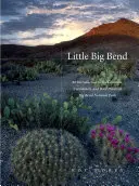 Little Big Bend : Plantes communes, peu communes et rares du parc national de Big Bend - Little Big Bend: Common, Uncommon, and Rare Plants of Big Bend National Park