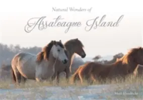 Merveilles naturelles de l'île d'Assateague - Natural Wonders of Assateague Island