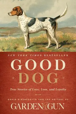 Good Dog : Histoires vraies d'amour, de perte et de loyauté - Good Dog: True Stories of Love, Loss, and Loyalty