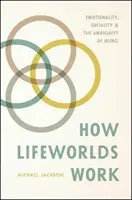 Comment fonctionnent les mondes de vie : L'émotivité, la socialité et l'ambiguïté de l'être - How Lifeworlds Work: Emotionality, Sociality, and the Ambiguity of Being