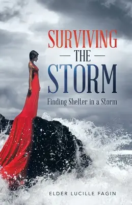 Survivre à la tempête : Se mettre à l'abri dans la tempête - Surviving the Storm: Finding Shelter in a Storm