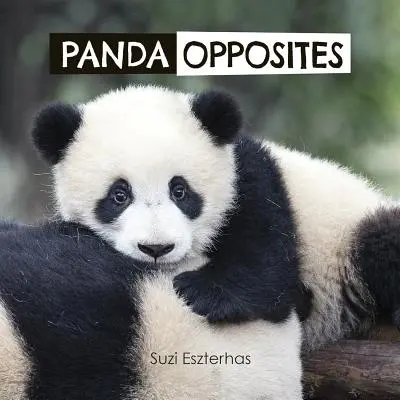Les opposés du panda - Panda Opposites
